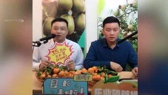 胖子娱乐吃瓜厅,揭秘娱乐圈幕后故事,带你领略明星们的真实生活